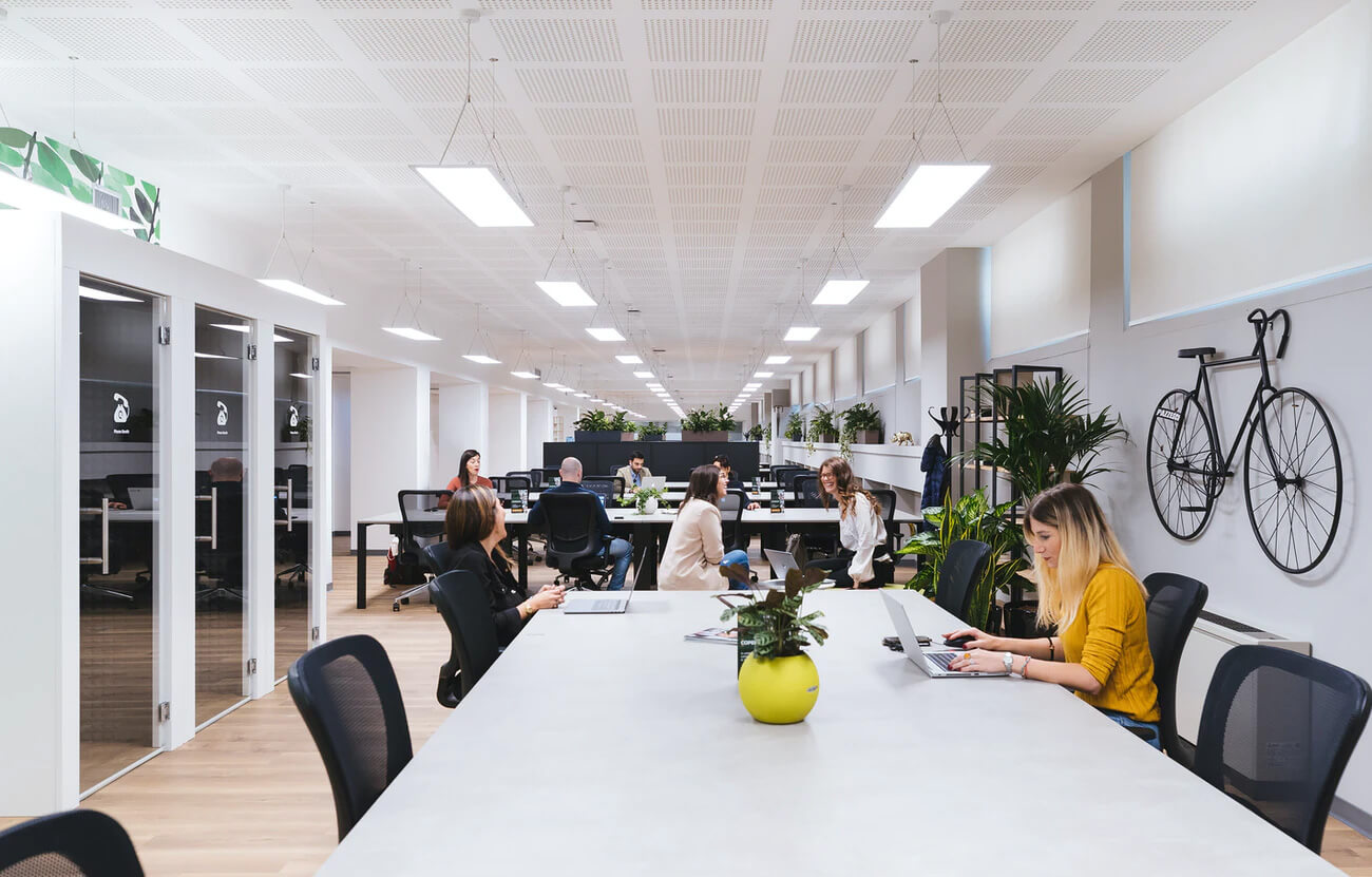 Waitangi Day Employer Information