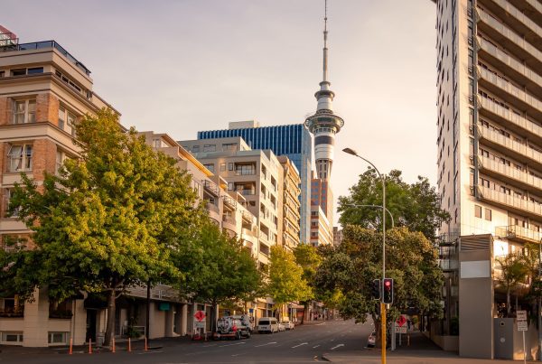 Auckland Business
