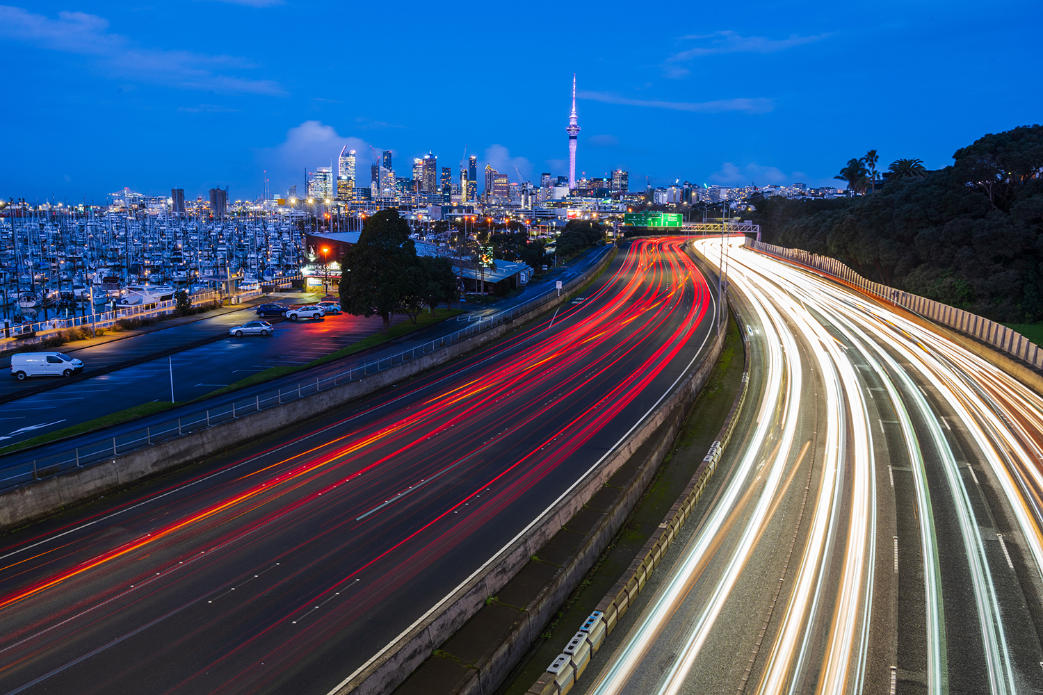 Businesses are hunkering down and adjusting to the new normal – Business Confidence Survey